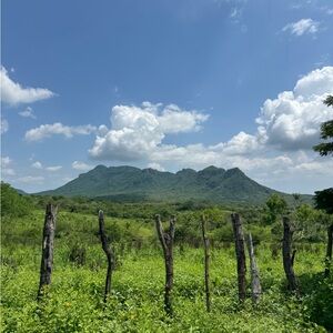 Meet your Posher, Alvaro